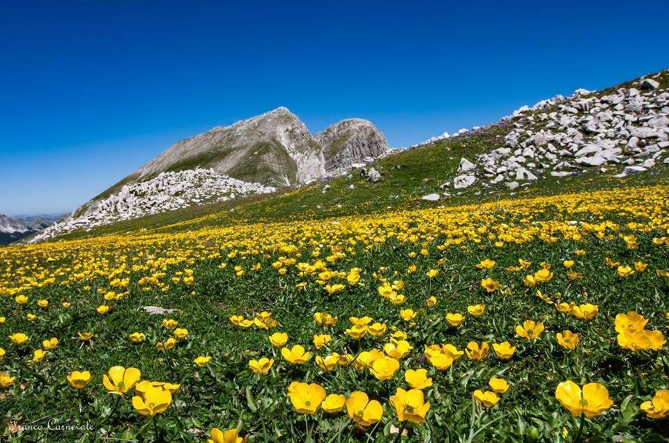 B&B La Meta Settefrati Bagian luar foto