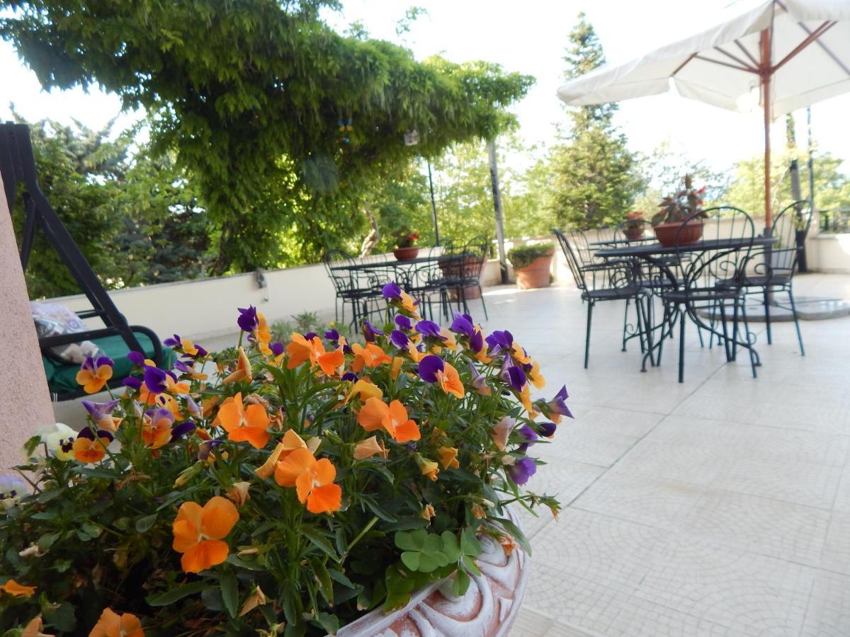 B&B La Meta Settefrati Bagian luar foto